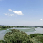 Tiltott ólomsöréttel lőttek ki védett madarakat a Tisza-tó egyik holtágánál.