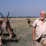 Az iskolázatlan, alkoholista zseni, aki a fél világgal megszerettette az állatokat – száz éve született Gerald Durrell