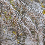 -15,3 fokot mértek, megvan az idei téli szezon leghidegebb reggele