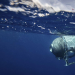 A Titan tengeralattjárót üzemeltető OceanGate társalapítója 1000 embert juttatna 2050-re a Vénuszhoz – de nem úgy, mint gondolná