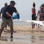 Videó: Strandolók mentették meg egy partra vetődött cápa életét