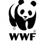 Magyar párt kampányol a pandás logóval, kiakadt a WWF – fotók