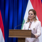 Kormányszóvivő: Van, aki folyamatosan sír és picsog az önkormányzati vezetők közül