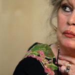 Brigitte Bardot lelövés helyett sterilizáltatná a pristinai kutyákat