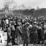 Auschwitz és a túlélőket bénító lelki érzéstelenítés, ami miatt még kérdezni is nehéz