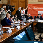Ócska diktatúra vagy szuverén jogállam – civilek is akcióztak az ellehetetlenítési törvény bizottsági vitáján