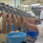 Szeretjük a magyar termékeket, de sokkal többet nem áldoznánk rájuk