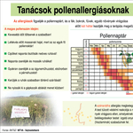 7 hasznos tipp allergiásoknak a lakásba