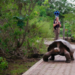 Már a Galápagos-szigetekről is készül Street View