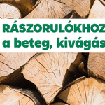 Rászorulókhoz adják a II. kerületben a kivágásra ítélt fákat