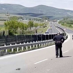 Szalagkorlátnak csapódott és meghalt egy motoros a 21-es főúton