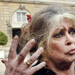 Brigitte Bardot: én az elefántokkal vagyok