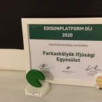 Edisonplatform-díjat nyert a Farkaskölykök Ifjúsági Egyesület