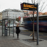 Patkány mászott egy utas nyakába a 108-as buszon