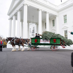 „Varázslat, csoda és öröm” – Jill Biden megmutatta a Fehér Ház karácsonyi dekorációját