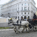 Utolsó földjét is eladja Ausztriában a Habsburg Birodalom legnagyobb hitelezője