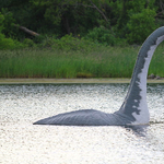 Új fejlemény a Loch Ness-i szörny történetében: az egyik népszerű elmélet esélye gyakorlatilag nulla