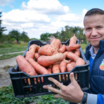 Toroczkai László a szegedi bérgyilkosnővel hirdeti a chipsgyártást