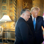 Hegedűs Dániel: Orbán mindent egy lapra tesz, amikor Trump győzelmére játszik. B terve nincs