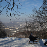 Nem túrják fel a Normafát - civilek fellélegeztek