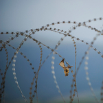 Kurd lázadók három török katonát öltek meg