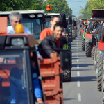 Így buliznak a Vajdaságban - traktorfesztivál képekben