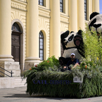 Két új kínai testvérvárost kapott Debrecen