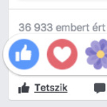 Heti TOP: mi ez a virágos lájk a Facebookon?