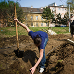 7 négyzetméteres városi zöldségeskerttel lehet pályázni a kormánynál