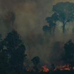 Brazília nem kér az amazóniai tűzoltásra szánt 20 millió dolláros gyorssegélyből