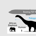 Költözik a világ legnagyobb dinoszaurusza