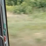 Nyitott ajtóval száguldott a Bakony Intercity – videó