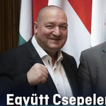 A Fidesz csepeli polgármesterjelöltje volt, aki felterjesztette a Szőlő utcai javítóintézet igazgatóját a posztra