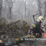 Videó: Ilyen, amikor a tűzoltók bevetésre mennek a budai ítéletidőben