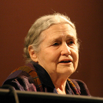 Meghalt Doris Lessing, Nobel-díjas brit írónő