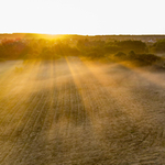 Ma is fog esni, de már nem annyit, mint az előző napokban