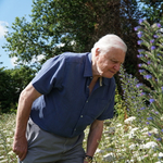 Sir David Attenborough: A világ rosszabb helyzetben lenne a történeteink nélkül