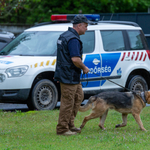 Az ukrán háborúban meglőtt kutyát fogadott örökbe a budapesti rendőrség