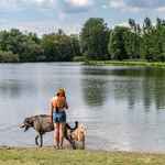 Csak a Tisza-tóból napi egymillió köbméter víz párolog el a kánikulában