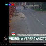 Leszakította a sorompót, megálljt intett a közeledő vonatnak és átbiciklizett a vasúti átkelőn egy sződligeti férfi - videó