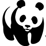 Az erdők drámai pusztulására figyelmeztet a WWF