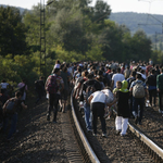 Kiosztották a Pulitzer-díjakat: magyar fotósok is nyertek