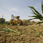 GMO: a kormány ragaszkodik a tilalomhoz, a brazil szóját ez nem izgatja