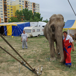 Circo Massimo - Nagyítás-fotógaléria