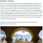 Felkerült Budapest a Lonely Planet toplistájára