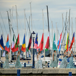 Pénzt is kerestek a nyíltvízi úszók a Balatonban