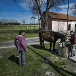 Itt a legújabb magyar mélyszegénységi adat