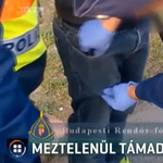 Meztelenül támadt nőkre a zuglói beteg szatír