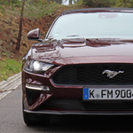 A pécsi köztemetőbe rontott egy Ford Mustang – fotók