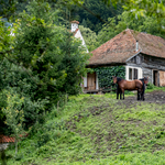 III. Károly erdélyi szakácsa szerint a király „kedves és egyszerű ember", aki a hegyeket járja és festeget